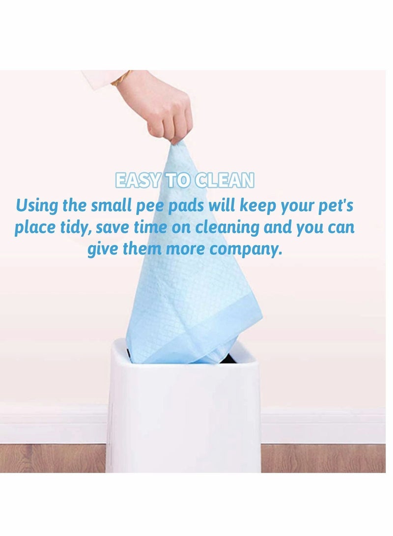 Y&D Pee Pads, 100 Pcs Disposable Absorbent Quick Drying Leak-Proof Pads for Potty Training Hedgehog, Dog, Hamster, Chinchilla, Cat, Reptile and Other Small Animal, Blue  - Image 4