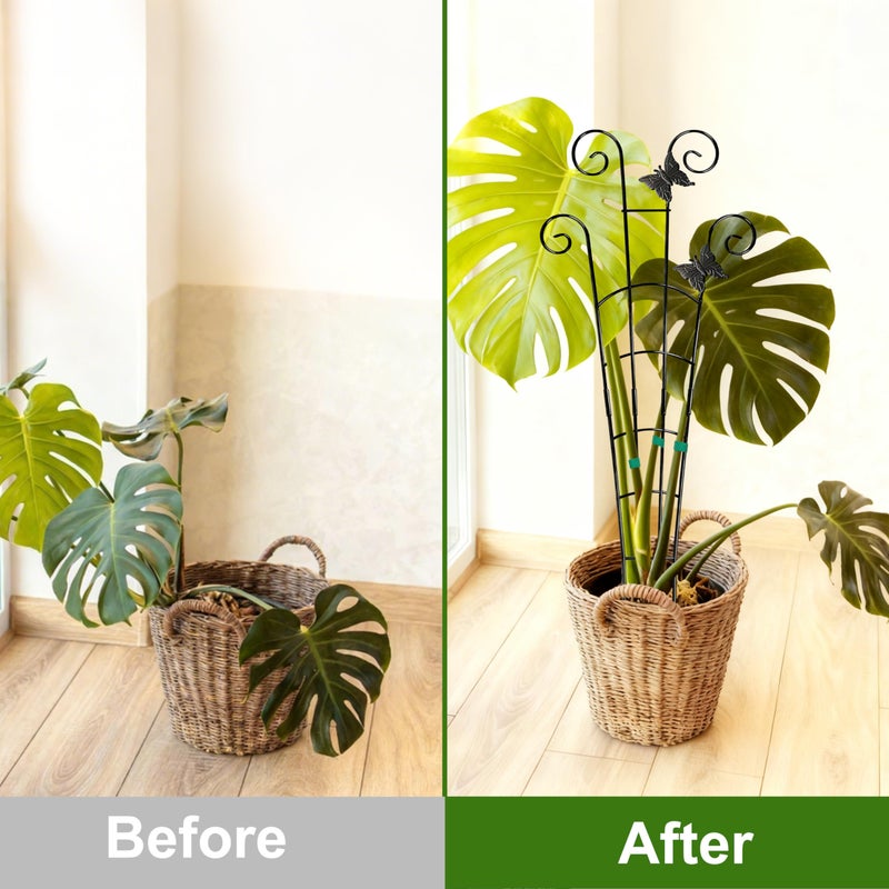 COOMIN 30'' Monstera Plant Support Outdoor, Metal Expandable Plant Supports for Indoor Plants, 2P Garden Trellis for Climbing Plants Indoor - Ivy, Pothos, Philodendron, Hoya - Image 4