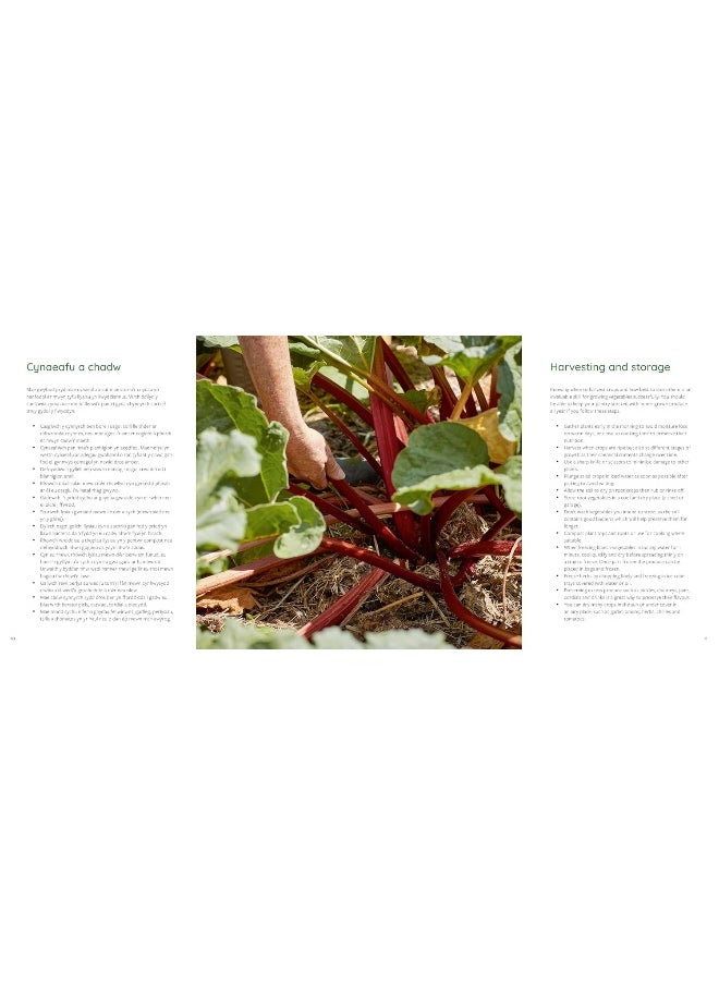 null - Cywain / Harvest: Ryseitiau o'r Ardd / Recipies fr - Image 1