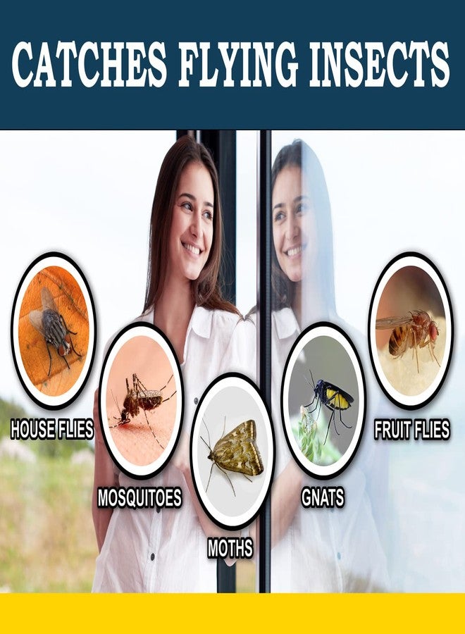 MaxGuard Window Fly Traps (24 XL Traps) Catch & Kill Houseflies, Flying Insects & Bugs. Non-Toxic Sticky Glue Traps Fly Killer Clear Strip Insect Catcher Safe No Zapping with Zapper | - Image 4