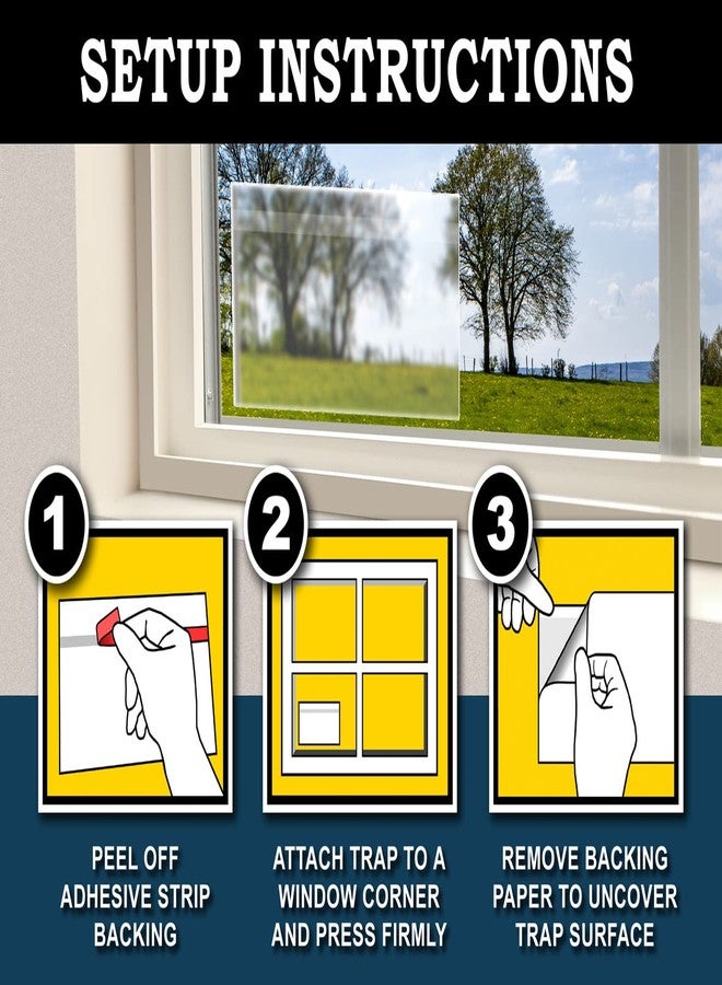 MaxGuard Window Fly Traps (24 XL Traps) Catch & Kill Houseflies, Flying Insects & Bugs. Non-Toxic Sticky Glue Traps Fly Killer Clear Strip Insect Catcher Safe No Zapping with Zapper | - Image 5