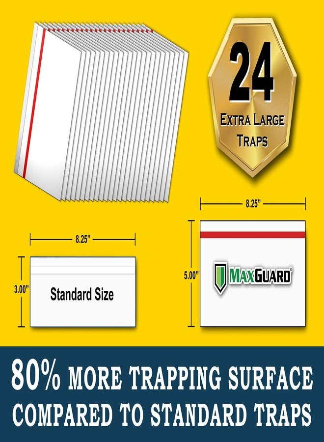 MaxGuard Window Fly Traps (24 XL Traps) Catch & Kill Houseflies, Flying Insects & Bugs. Non-Toxic Sticky Glue Traps Fly Killer Clear Strip Insect Catcher Safe No Zapping with Zapper | - Image 3