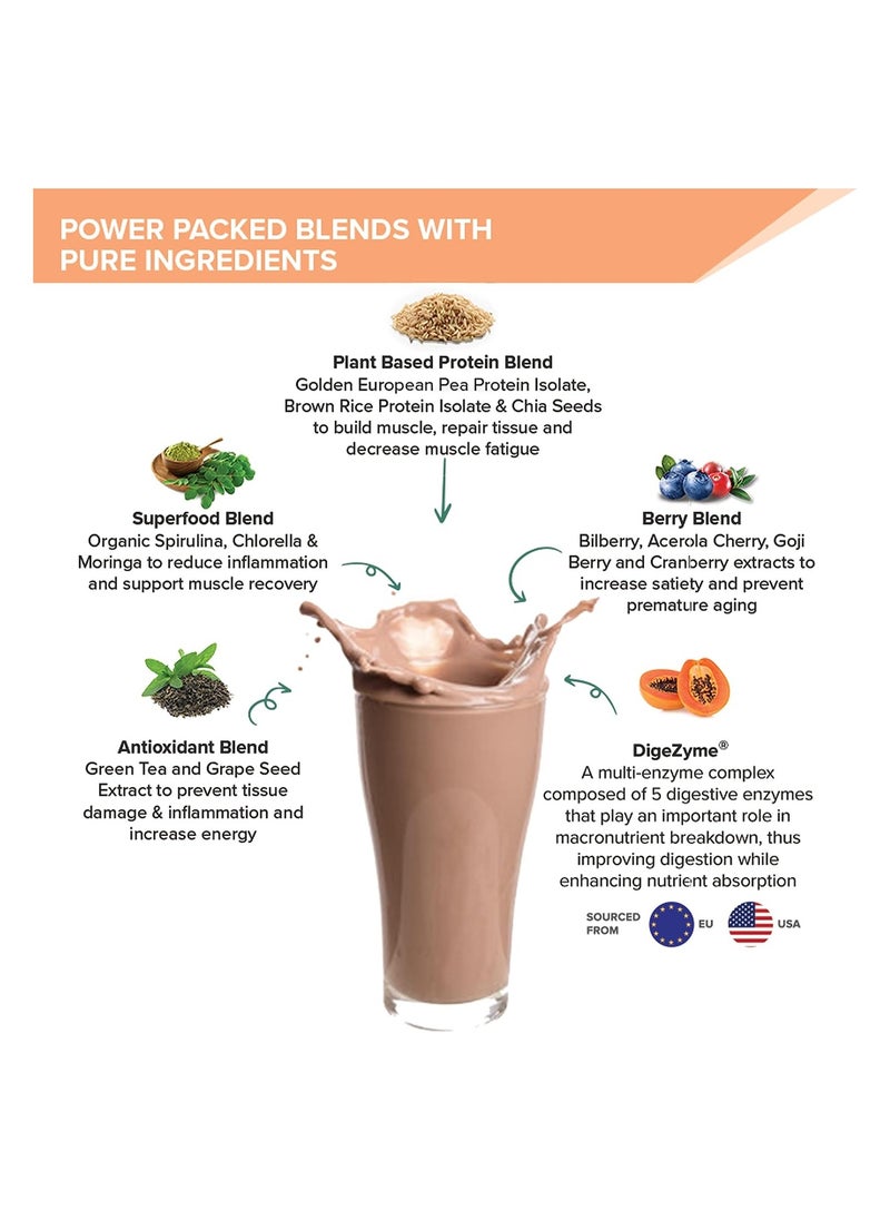WELLBEING NUTRITION Superfood Plant Protein Dark Chocolate Hazelnut, Pack Of 2  - Image 4