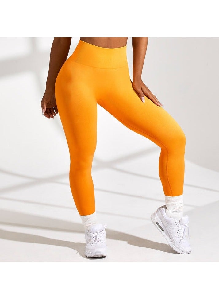 Women's Yoga Fitness Sports Bra and Pants Set  - Image 5