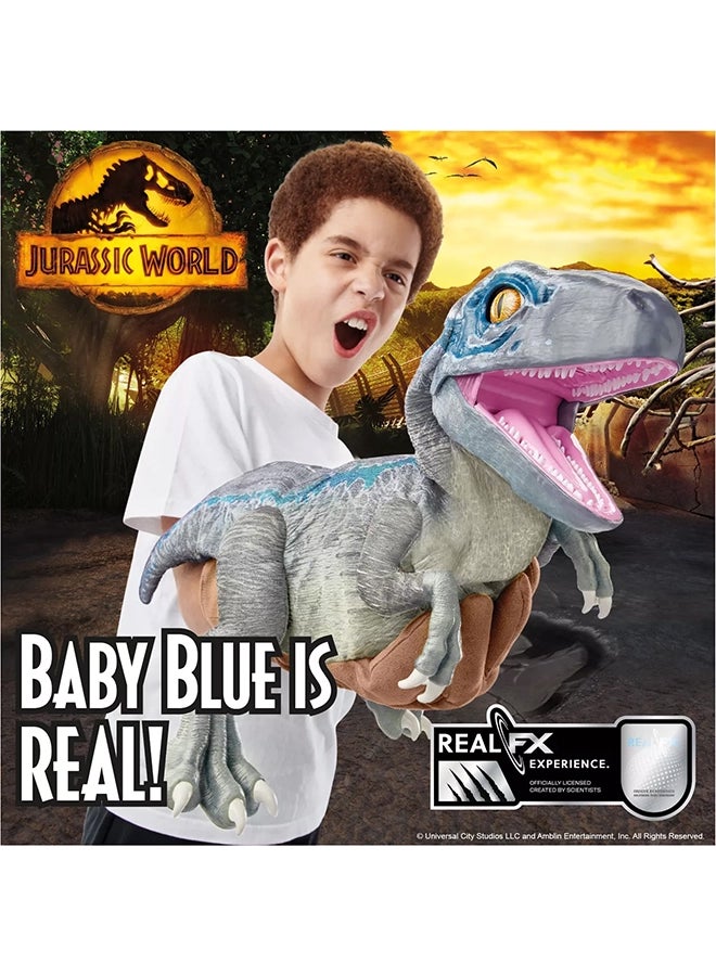 WOW! STUFF Real Fx Baby Blue Ultra-Realistic Animatronic Dinosaur - Protect, Lunge, Battle And Bite Action - Image 5