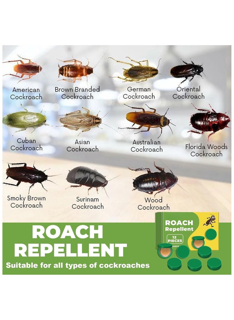 24 Pcs Cockroach Gel Killer - Natural, Roach Killer Gel for Indoor/Outdoor, Cockroach Bait Stations/Cockroach Trap Effectively Roach Contro - Group Spread for Small & Large Roaches - Image 2