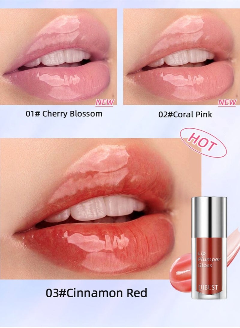 QiBest 3Pcs Lip Glow Oil Tinted Lip Balm Hydrating Lip Plumping Gloss Non Sticky Long Lasting Big Head Brush Lip Plumper Moisturizing Nourishing Transparent Lip Care Products for Dry Lips Set B - Image 4