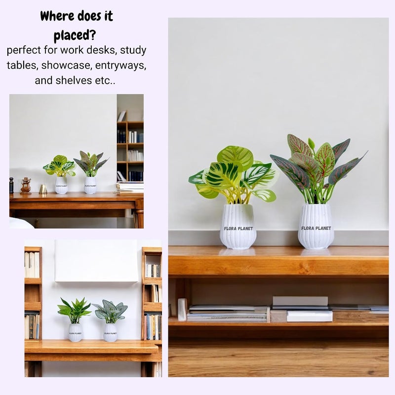 Flora Planet Artificial Plants for Home Decor – Realistic Fake Plants, Durable Plastic Wall Decor for Living Room, Bedroom, Office –Set of 4 (6x12 cm) – Perfect Indoor Greenery & Wall Decoration Items - Image 3