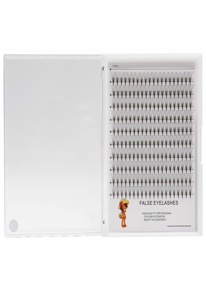 Bodermincer D Curl 10-18mm To Choose Lashes Premade Fans 10D Long Stem Russian Volume Professional Eyelash Extensions Faux Mink (16MM) - Image 2