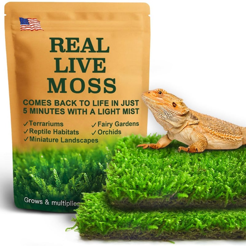 LUCKYRUNES Live Moss for Reptiles - Terrarium Moss for Reptiles Peat Moss for Reptiles Habitat Bedding Moss for Snakes Turtle Frog Gecko and Other Reptiles Substrate 50 Square inches Live Moss - Image 1