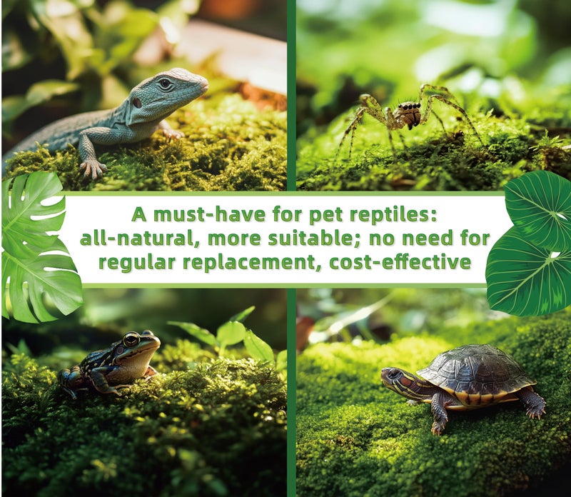 LUCKYRUNES Live Moss for Reptiles - Terrarium Moss for Reptiles Peat Moss for Reptiles Habitat Bedding Moss for Snakes Turtle Frog Gecko and Other Reptiles Substrate 50 Square inches Live Moss - Image 3