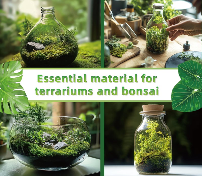 LUCKYRUNES Live Moss for Reptiles - Terrarium Moss for Reptiles Peat Moss for Reptiles Habitat Bedding Moss for Snakes Turtle Frog Gecko and Other Reptiles Substrate 50 Square inches Live Moss - Image 4