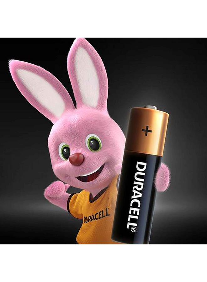 Duracell 12-Piece AA Alkaline Battery Black and Copper 37332 - Image 2