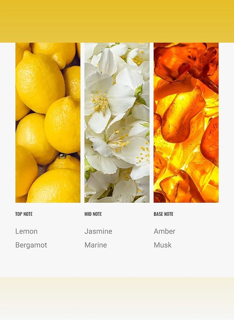 Hotel Collection Cabana Fragrance Oil Blend - Hotel Inspired for Luxury Essential Oil Diffusers - Aromatherapy Scent Diffuser Oil - Marine, Bergamot, and Jasmine