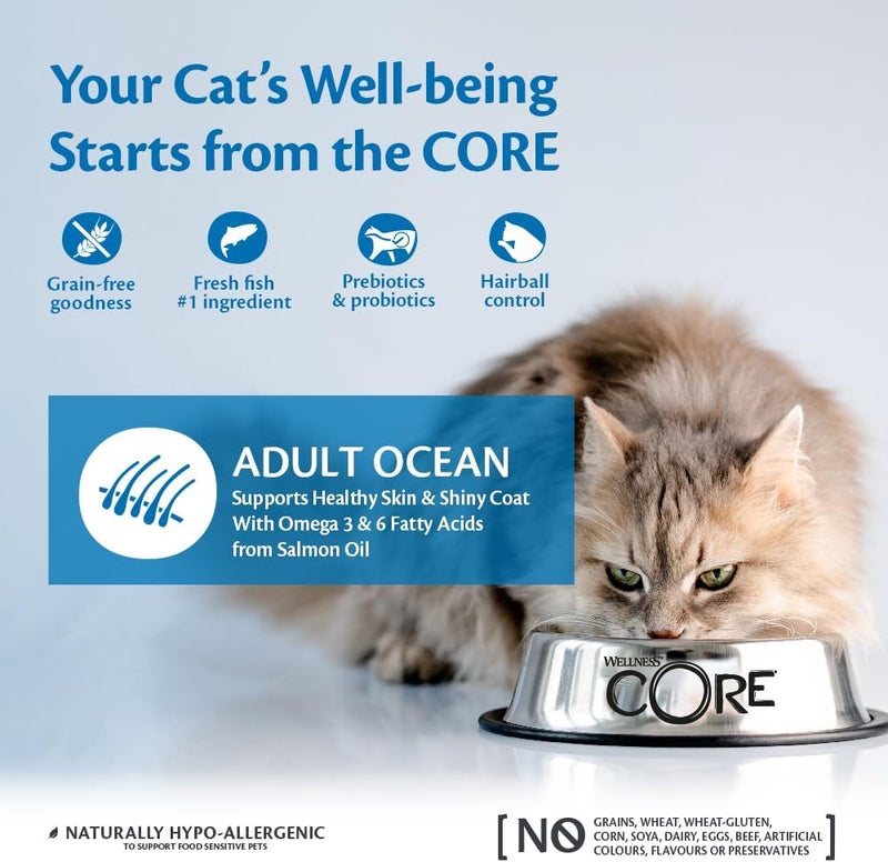 Wellness Core Cat Dry Food Salmon with Tuna Adult Grain-Free - 300 g - Image 2