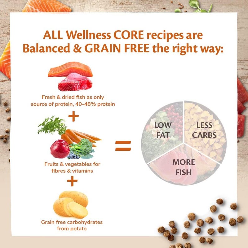 Wellness Core Cat Dry Food Salmon with Tuna Adult Grain-Free - 300 g - Image 4