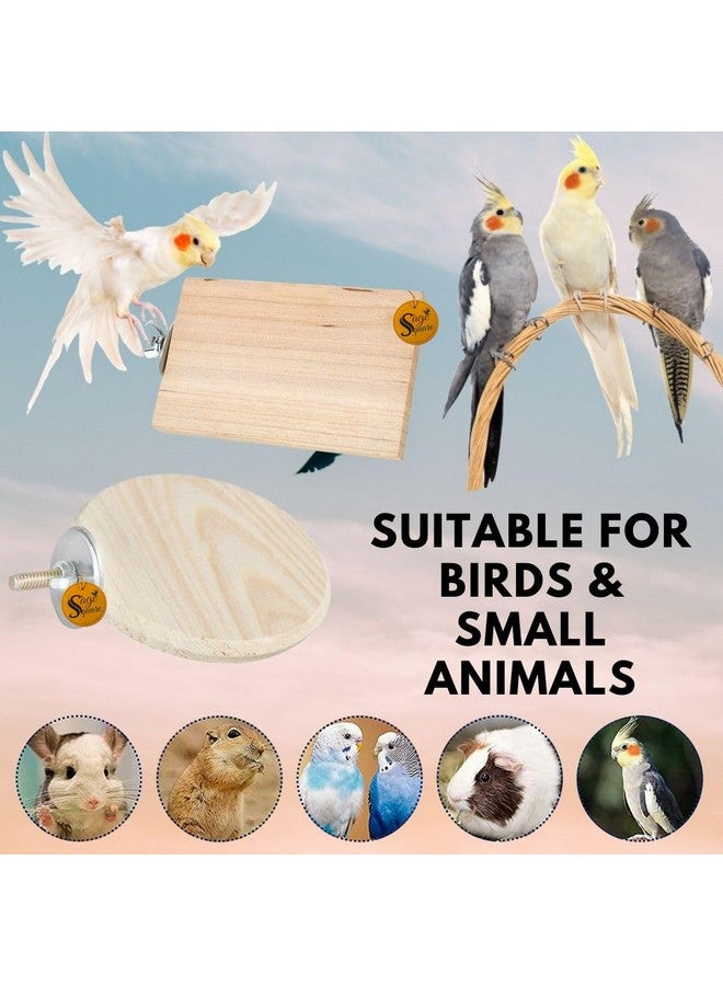 سايج سكوير مجموعة من قاعدتين خشبيتين دائريتين (3 * 4 و4 بوصات) على شكل دائرة وقاعدة خشبية للطيور، ملحقات قفص لعبة مرحة، مناسبة للطيور والببغاوات والبادجي - Image 5