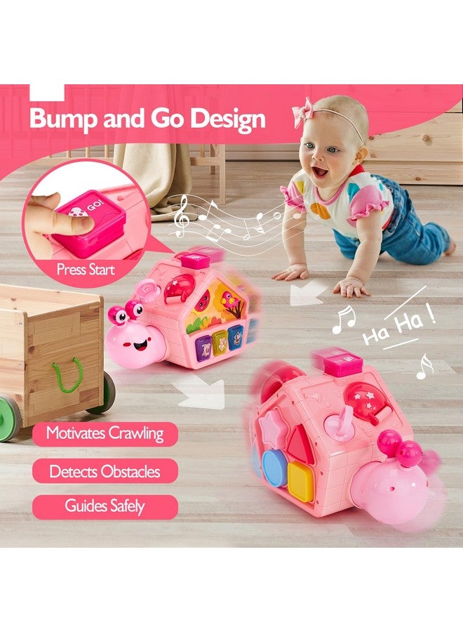 hahaland Baby Toys 6-12 Months, Musical Crawling Toys 6-18 Month Snail Toys for 1 Year Old Girl Gifts,Educational Toddler Toys Age 1-2 Busy Activity Cube, 1st Birthday Girl Gifts Toddler Gifts - Image 3