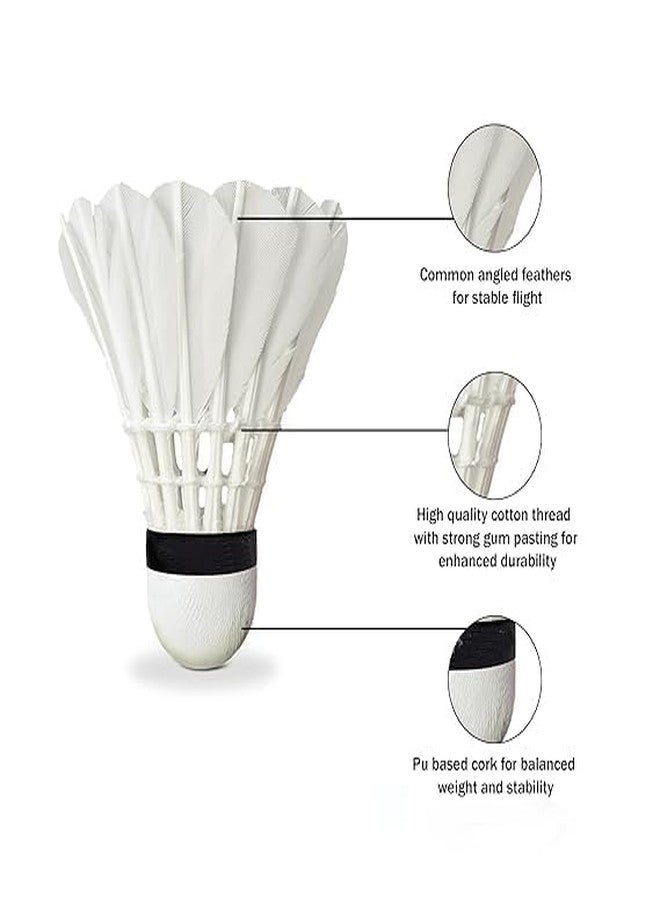 SBJT Gold Series Feather Shuttlecock (Pack of 20 CC) - Image 2