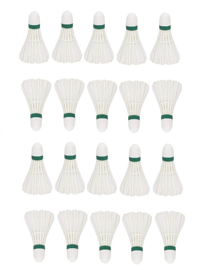 SBJT Gold Series Feather Shuttlecock (Pack of 20 CC) - Image 1