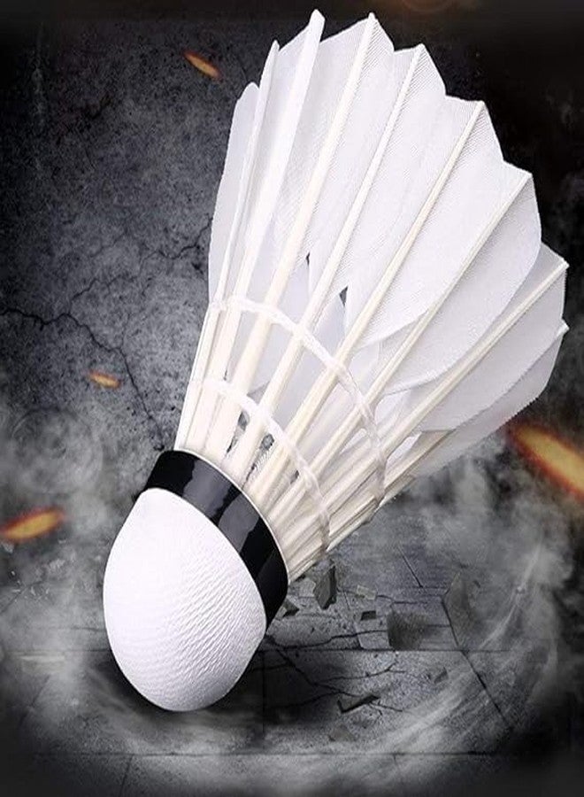 SBJT Gold Series Feather Shuttlecock (Pack of 20 CC) - Image 3