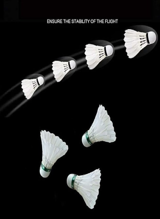 SBJT Gold Series Feather Shuttlecock (Pack of 20 CC) - Image 5