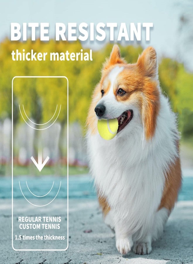 ALL FOR PAWS 2.5-inch Tennis Balls for Dogs, Fetch Toys for Medium Large Dogs, Bouncy & Durable Tennis Balls for Ball Launcher Toy, 6 Pack Fetch Toy for Outdoor Play - Image 4