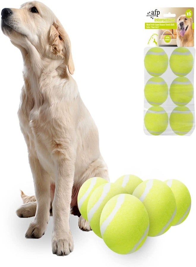 ALL FOR PAWS 2.5-inch Tennis Balls for Dogs, Fetch Toys for Medium Large Dogs, Bouncy & Durable Tennis Balls for Ball Launcher Toy, 6 Pack Fetch Toy for Outdoor Play - Image 1