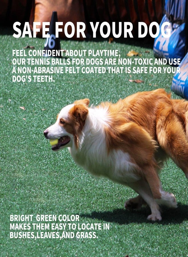 ALL FOR PAWS 2.5-inch Tennis Balls for Dogs, Fetch Toys for Medium Large Dogs, Bouncy & Durable Tennis Balls for Ball Launcher Toy, 6 Pack Fetch Toy for Outdoor Play - Image 3