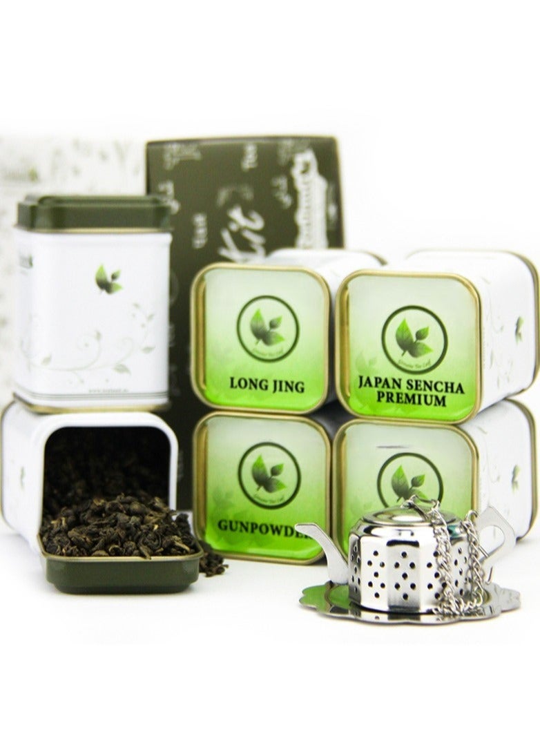 Tealand Sampler Kit Green For Those Who Does not Like Green Snail 10g Long Jing 6g Japan Sencha Premium 10g Gunpowder 10g Sheng Pu Erh 10g Dragon Pearl 5pc Tea Pot Infuser With Tray & Tins