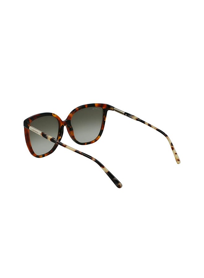 LACOSTE Women's UV Protection Butterfly Sunglasses - 886895518468 - Lens Size: 59 Mm - Image 4