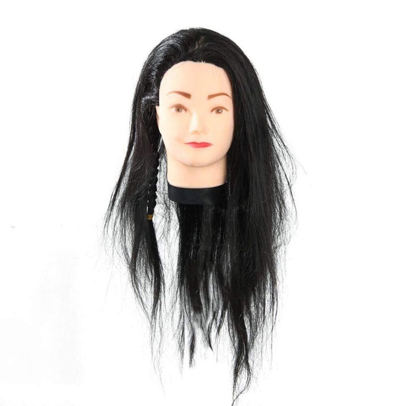 IAS hair Hair Dummy for Freshers - Image 1