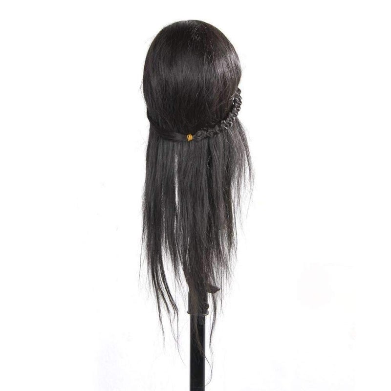 IAS hair Hair Dummy for Freshers - Image 4