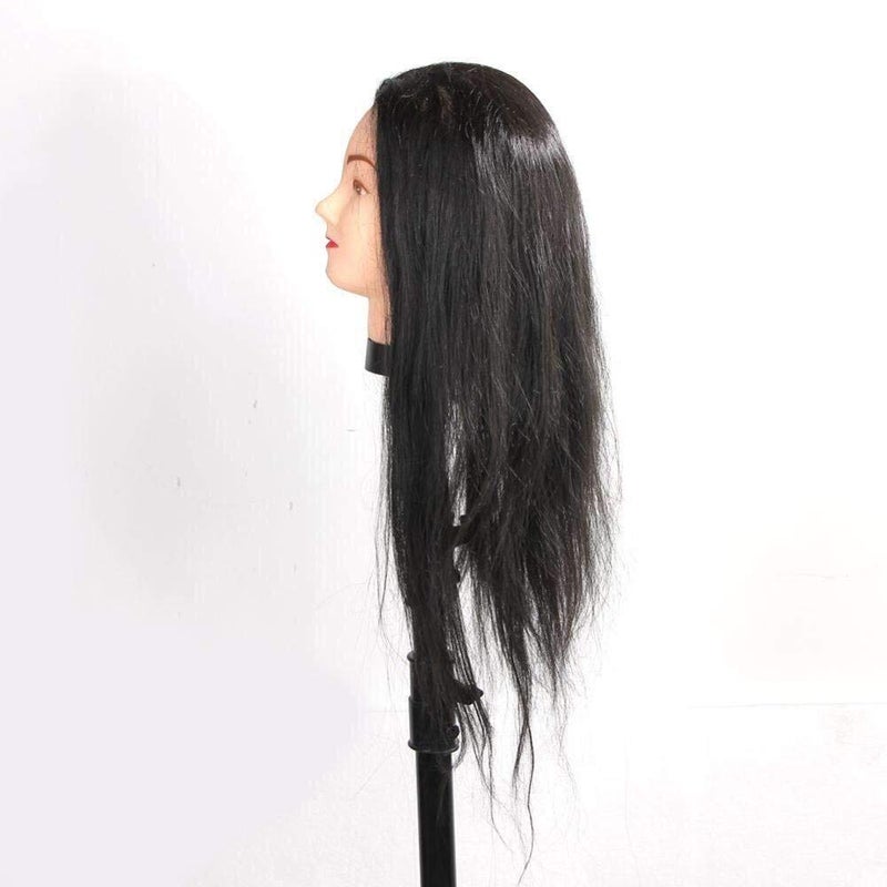 IAS hair Hair Dummy for Freshers - Image 3