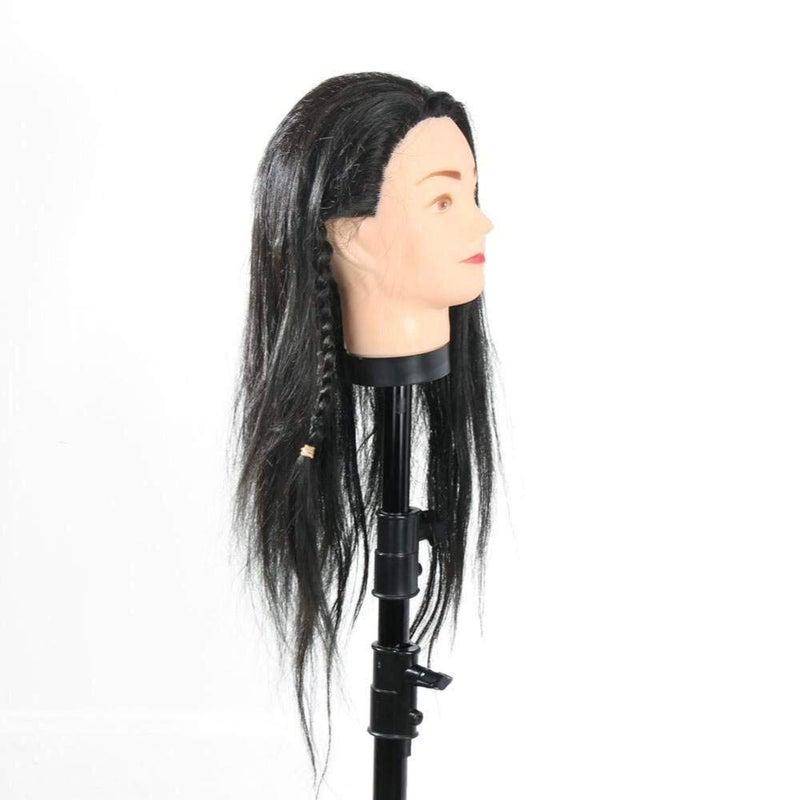 IAS hair Hair Dummy for Freshers - Image 5