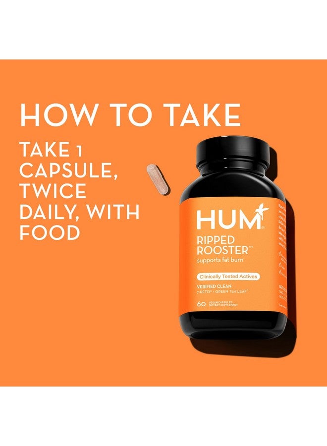 HUM Ripped Rooster - Natural Green Tea Supplement to Boost Metabolism, Control Cravings, Burn Fat & Support a Healthy Diet & Weight Management (60-Count) - Image 5