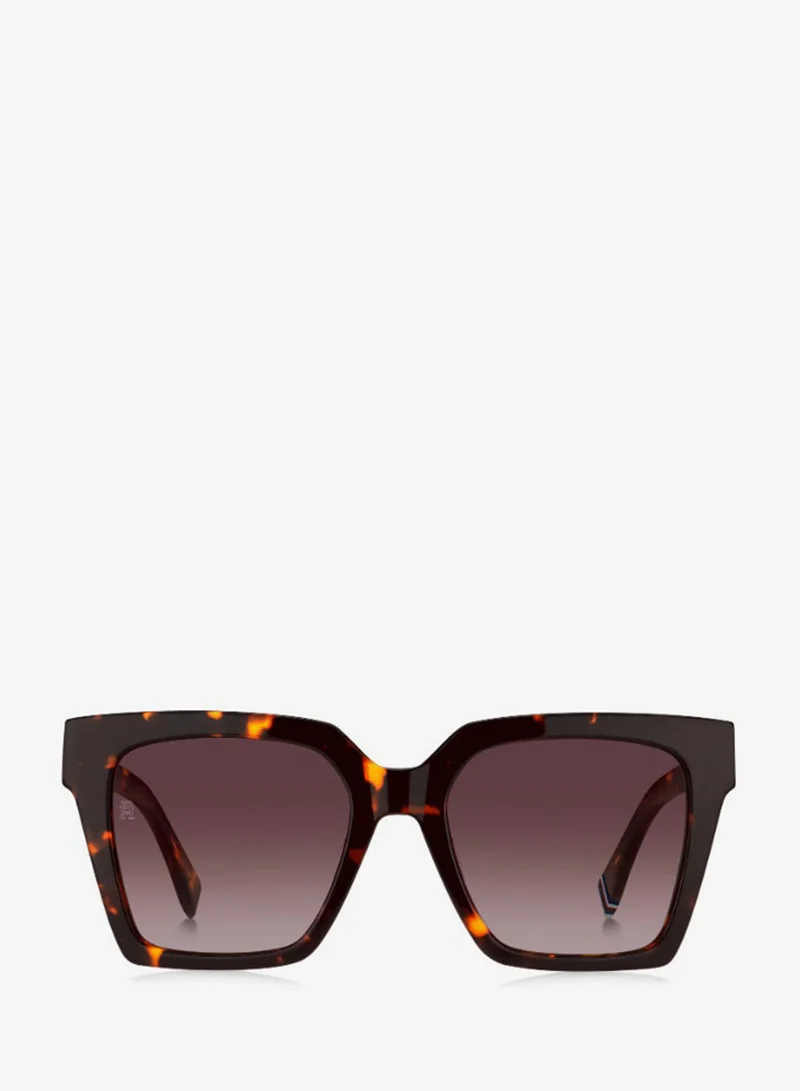 Tommy Hilfiger  Square Tommy Hilfiger Sunglasses  | Best Price UAE