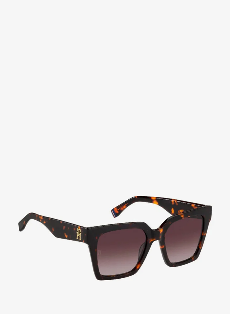 Tommy Hilfiger Square Tommy Hilfiger Sunglasses