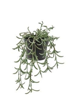 FEJKA Artificial potted plant, in/outdoor/String of bananas hanging, 9 cm  - Image 1