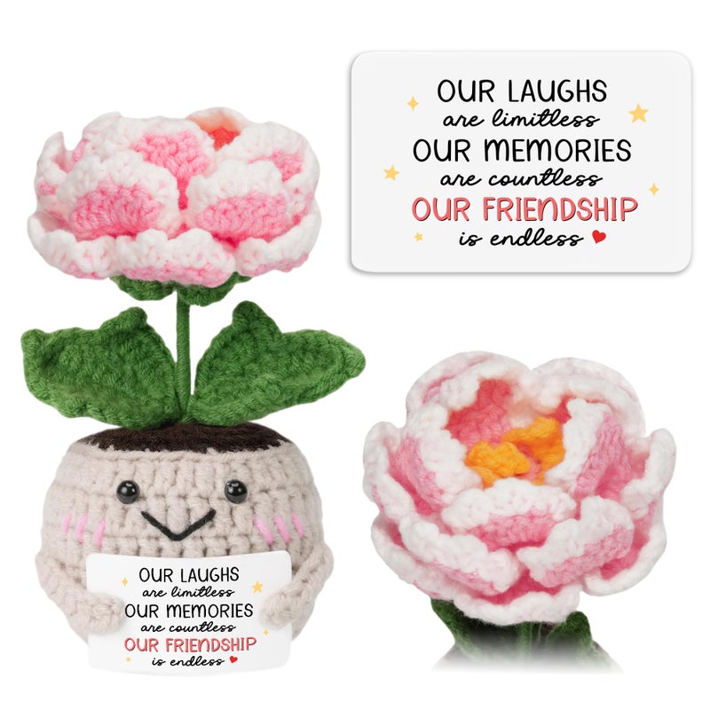 HEXMOZ Friendship Gifts for Women, Christmas, Birthday Ideas for Bestie, BFF, Friend Female, Soul Sister - Handmade Emotional Support Peony Crochet with Positive Card - Image 1