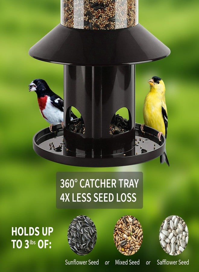 Dreamdrawer Squirrel-Proof Bird Feeder for Outdoor Hanging Wild Bird Seeds. - Image 3