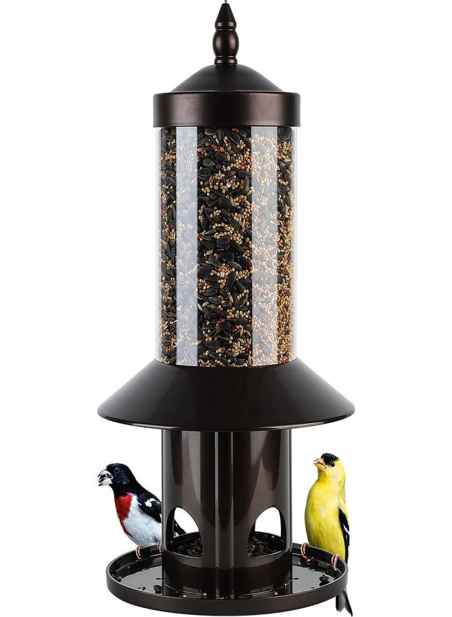 Dreamdrawer Squirrel-Proof Bird Feeder for Outdoor Hanging Wild Bird Seeds. - Image 1