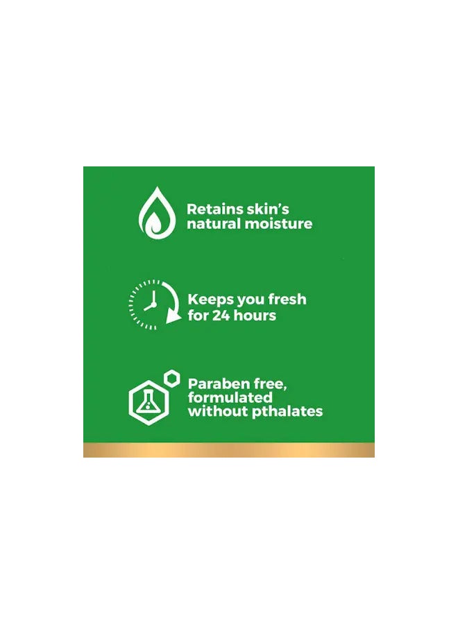 أيريش سبرينج غسول الجسم ألتيميت ويك أب كلينسينغ للرجال، 20 أونصة، 591 مل - Image 3