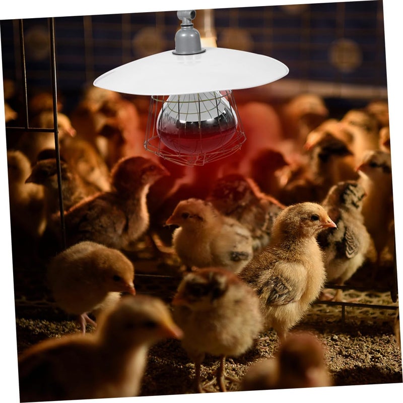 Livestock Warmer Lamp for Piglets Heating Light Kit Ceramic Socket Safe Livestock Warming Tool for Farms Adjustable Temperature - Image 3