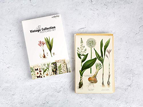 Wintertime Crafts Vintage Collection Postcard Set: Pack of 30 Retro Style Botanical, Nature and Ephemera Postcards - Image 2