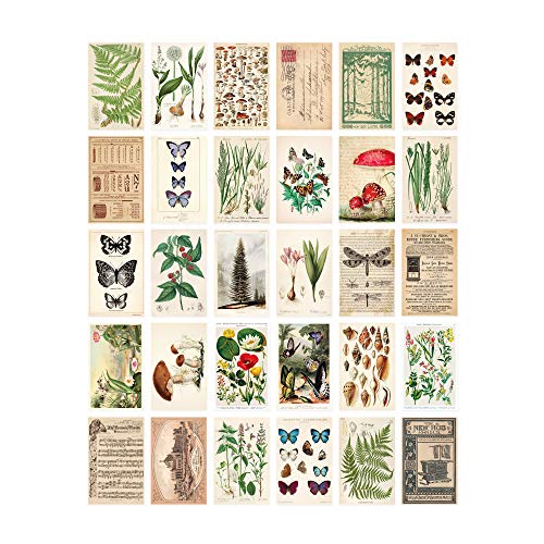 Wintertime Crafts Vintage Collection Postcard Set: Pack of 30 Retro Style Botanical, Nature and Ephemera Postcards - Image 1