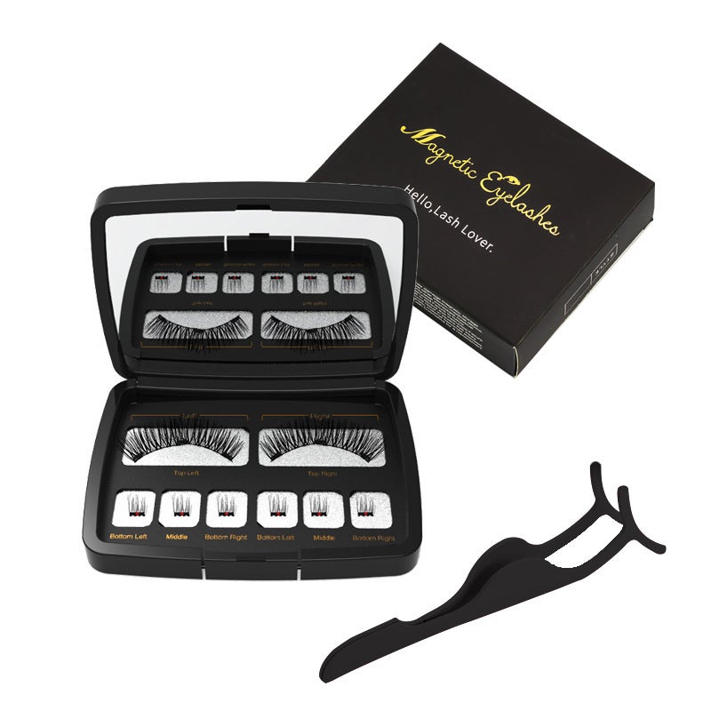 Temu Shein Popular Mirror Box Dual Magnetic Three Magnet 2+4 Small Clusters 2+6 Magnet Eyelash Magnet - Image 1