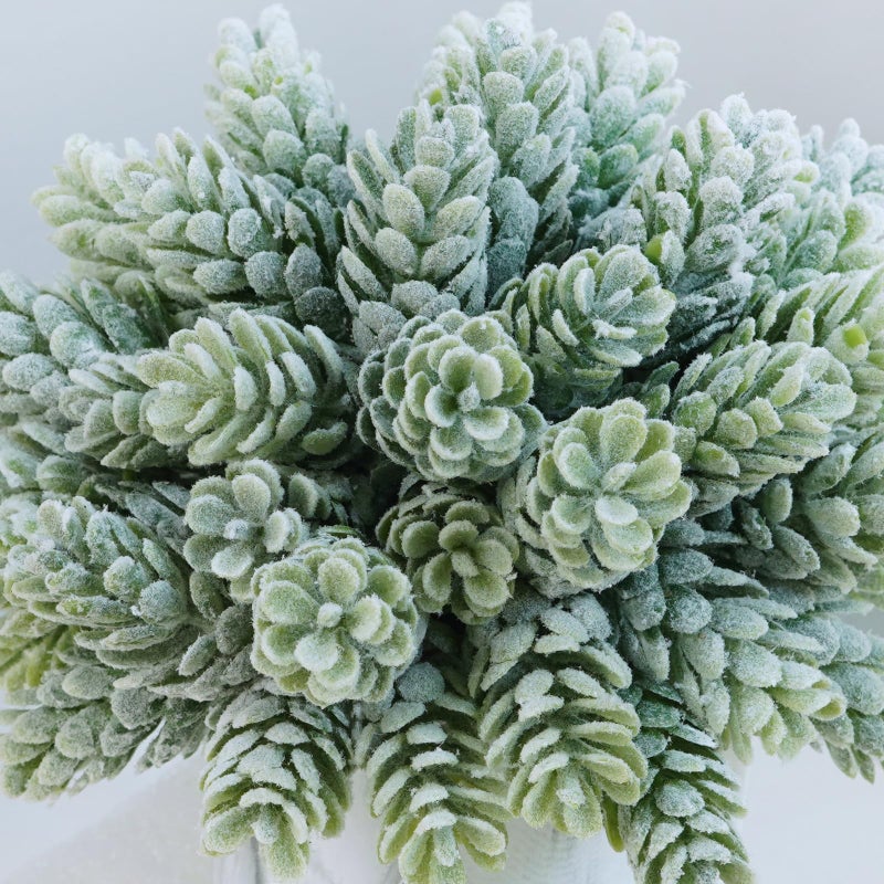 Winlyn Winlyn Set of 3 Small Artificial Succulent Potted Plants Fake Aloe Hops String of Pearls in Modern Marble Ceramic Planter for Home Garden Bathroom Shelf Office Desk Tabletop Indoor Outdoor D?cor  - Image 3