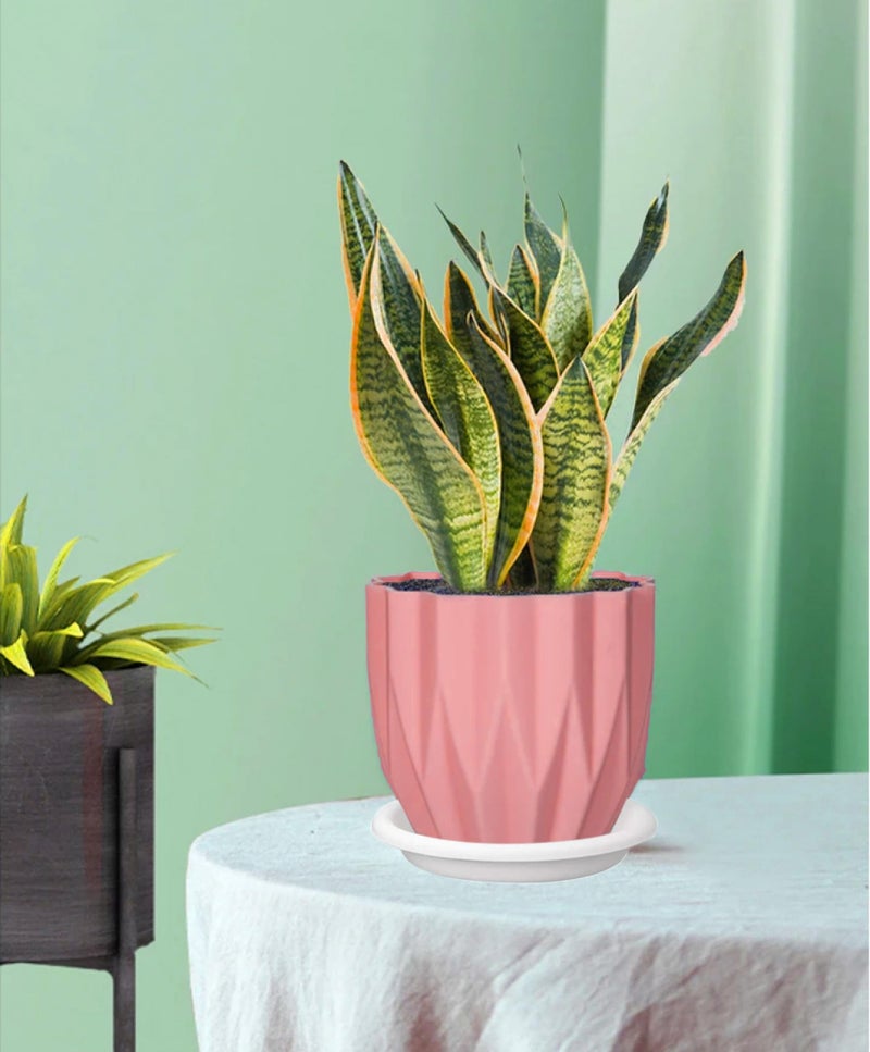 TechHark® Crystal Flower Pots with Tray for Home & Decoration Planters, Terrace, Garden Plant Container Set (Pack of 5, Plastic) - Image 5