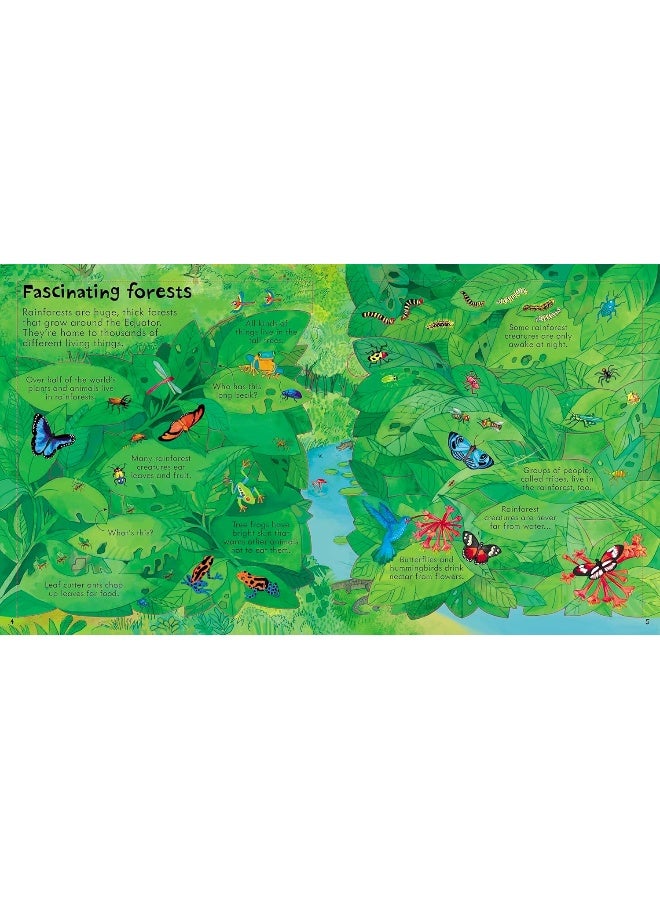 Usborne Look Inside Our World  - Image 4